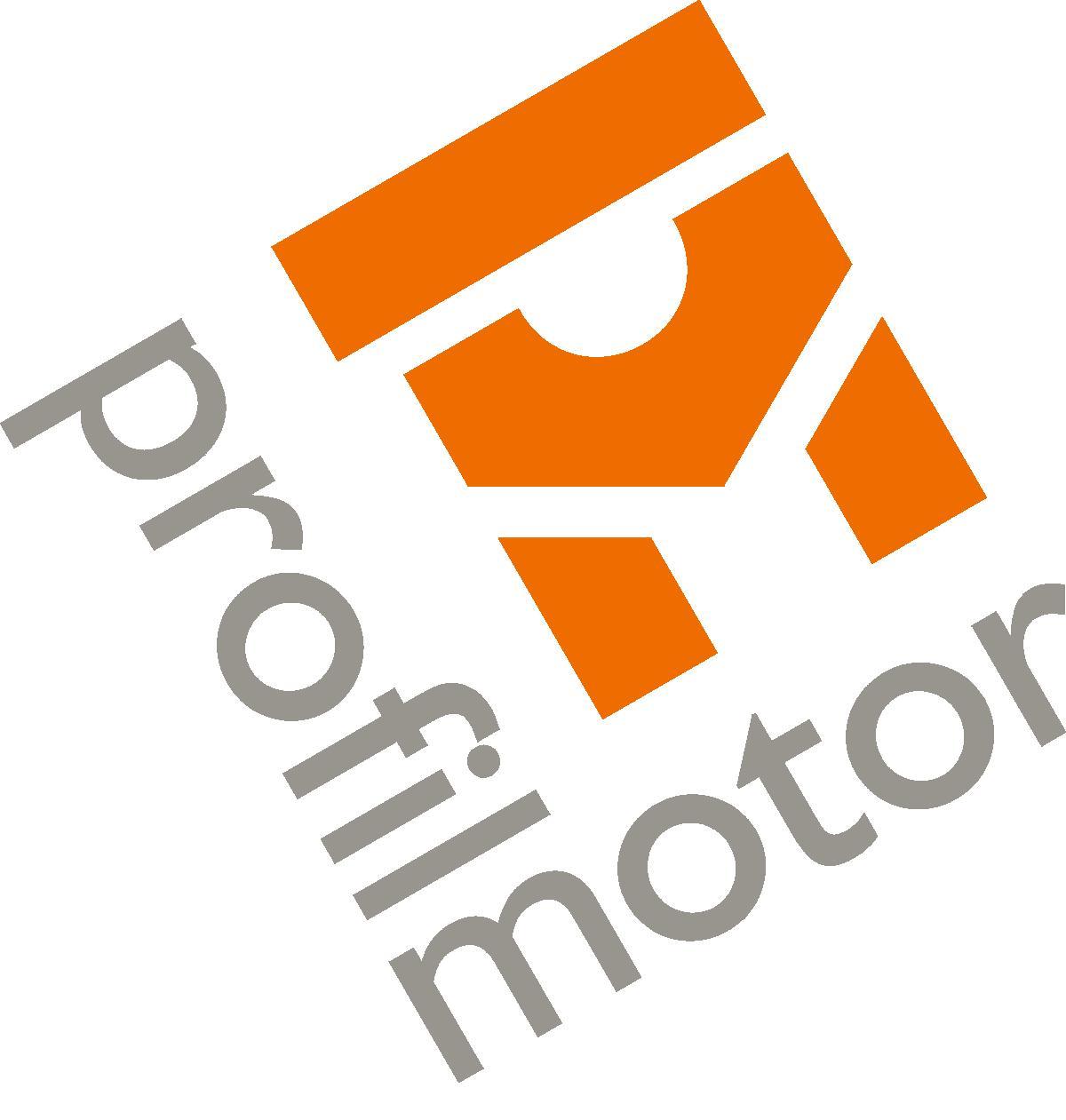 ProfilMotor Logo